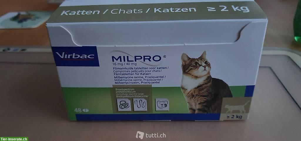 Milpro Katzen Entwurmung Tabletten ab Lager, Fabrikneu