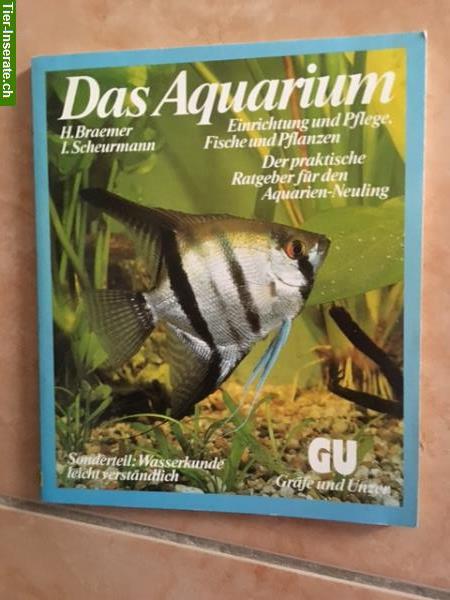Ratgeber Aquarium + Buch Guppy, Platy, Molly zu verkaufen