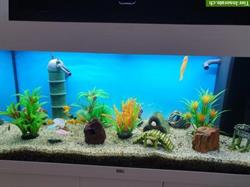 Bild 1: Juwel Aquarium RIO 180 Liter mit Fischen &amp; Zubeh&#246;r
