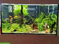 Bild 4: Komplettes Aquarium 500 Liter mit Untergestell, Zubeh&#246;r!