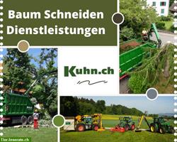 Beste Baum Schneiden, Gartenbau Dienstleistungen in Zürich