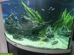 Juwel Eck-Aquarium 350l mit Unterschrank + Zubehör