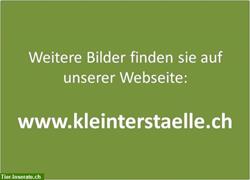 Bild 2: Kleintierstall &quot;Niesenh&#252;tte&quot;, fahrbares Ganzjahresgehege
