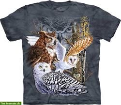 Bild 3: Wundersch&#246;ne T-Shirts mit lebensechten Vogelmotiven