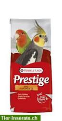 Versele-Laga Prestige Vogelfutter zu verkaufen