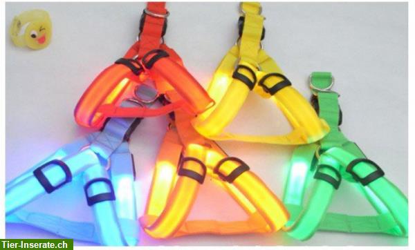 LED Leucht Hundehalsband / Leuchthalsband für Hunde Grösse S, M, L