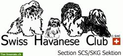 Bild 1: Swiss Havanese Club / Havaneser / Bichons Havanais Club Suisse