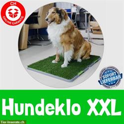 Bild 1: XXL Hundetoilette, Hundeklo Welpen, Kunstgras stubenrein 68x86cm