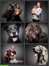 Hundefotografie / Hunde Fotoshooting im Fotostudio