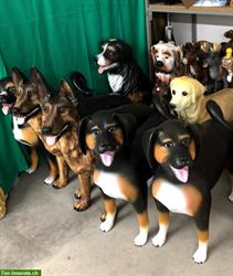 Lebensgrosse Dekohunde diverser Hunderassen zu verkaufen