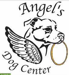 Der Hundewohl-Verein Angel's Dog-Center, alles für ihren Liebling
