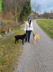 Bild 6: Biete Ferienpl&#228;tze: Keine Rudelhaltung, Hundebetreuung privat &amp; famili&#228;r