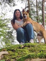 Bild 8: Biete Ferienpl&#228;tze: Keine Rudelhaltung, Hundebetreuung privat &amp; famili&#228;r