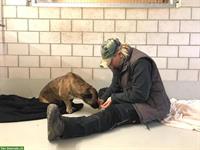 Bild 4: Biete private Tier-/Hundebetreuung im ZH-Oberland