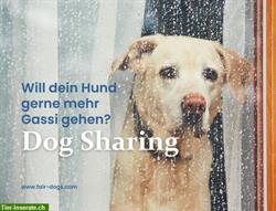 Bild 1: Dog Sharing im Raum Bern, Z&#252;rich und St. Gallen