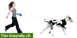 Homesitting, Dogsitting & Katzenbetreuung im Bezirk Arlesheim BL