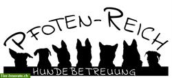 Kleine familiäre Hundebetreuung PFOTEN-REICH in Osterfingen / SH