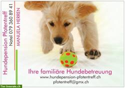 Bild 1: Hundepension Pfotentreff bietet famili&#228;re Betreuung Ihres Hundes