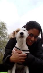 Bild 5: Biete Hundesitting, zuverl&#228;ssig, liebevoll und professionell