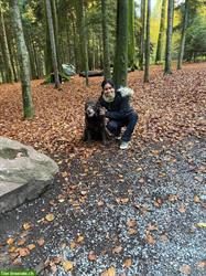 Bild 6: Biete Hundesitting, zuverl&#228;ssig, liebevoll und professionell