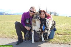 Tages- und Ferienplätze für Hunde in Rudolfstetten AG
