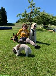 Hunde Tages-/Ferienplätze in Haus & Garten, Berner Oberland