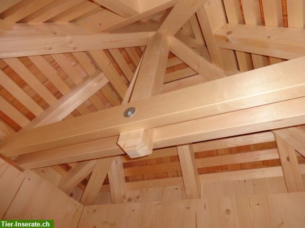 Unikat Hundehaus, einmaliges Objekt zu verkaufen - Tierinserat 253722