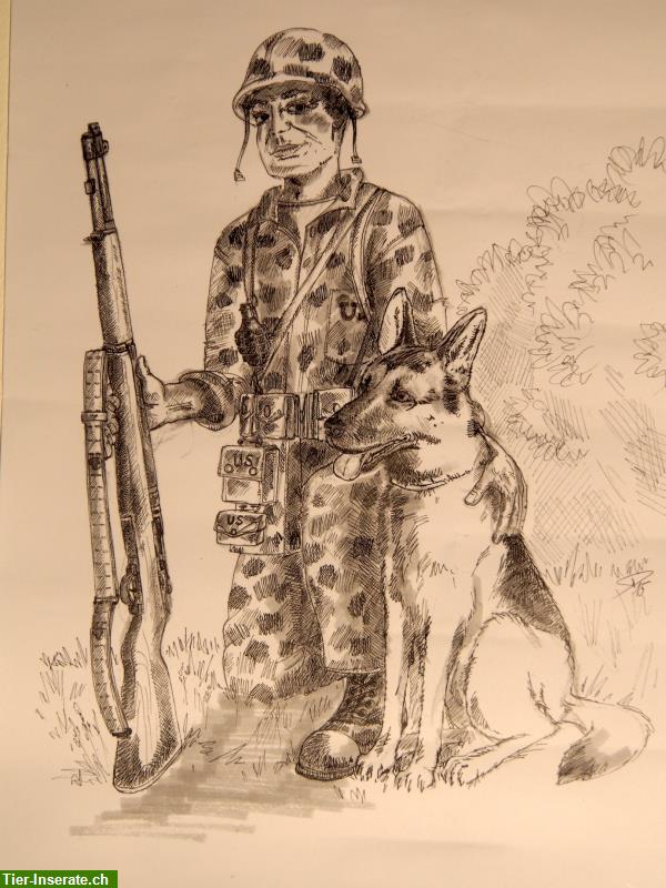 Ein Buch über Hunde im Krieg | Der Hund im Krieg