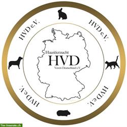 Hundezuchtverein, HVD e.V. jetzt mit Youtube Kanal mit Tipps für Züchter