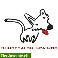 Hundesalon Spa-Dog in Cham ZG