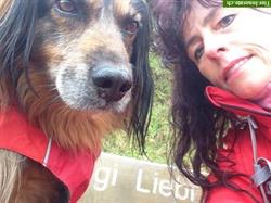 Bild 3: Hundeschule Tierpsychologie in der Ostschweiz