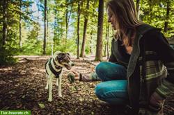 Bild 5: Hundetraining | Hundeschule OHANA Z&#252;rich &amp; Aargau