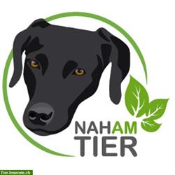 Individuelles Hundehaltercoaching