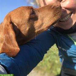 Mit Rückenwind zu AUM : Mehr als nur Hundetraining