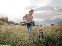 Individuelles Hund-Mensch-Training in Weggis und rund um die Rigi