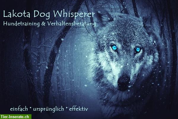 Lakota Dog Whisperer zert. Hundetrainerin Verhaltensberater schweizweit + online