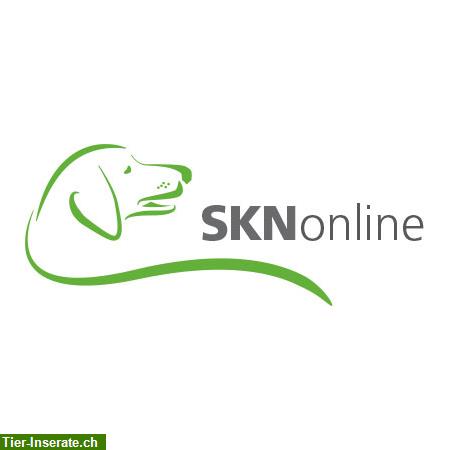 SKNonline: Die online Hundeschule für den Sachkundenachweis Hund (SKN)