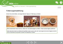 Bild 4: SKNonline: Die online Hundeschule f&#252;r den Sachkundenachweis Hund (SKN)