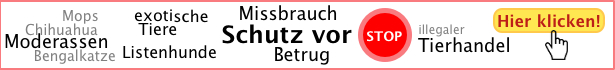 Inserate Betrug und Missbrauch