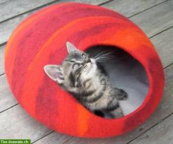 Bild 1: Gefilzte Katzenh&#246;hlen aus Merinowolle, Unikat!