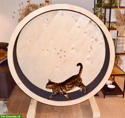 Bild 1: Catwheel / Katzenlaufrad handgefertig nach Wunschgr&#246;sse!