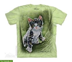 Bild 10: Einzigartige T-Shirts! Katzenfans werden begeistert sein