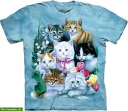 Bild 9: Einzigartige T-Shirts! Katzenfans werden begeistert sein