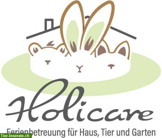 Tierbetreuung und Housesitting Region Lenzburg, Aarau, Seetal