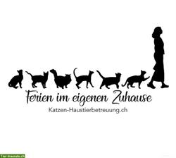 Biete Katzen-/Haustierbetreuung bei Ihnen Zuhause, Region Zürich