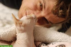 Bild 5: Liebevolle Katzenbetreuung, ortsflexibel, beim Besitzer, ab ca. 7 Tagen