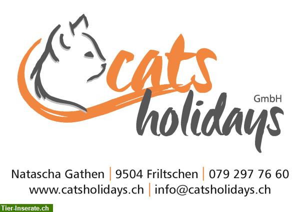 Katzenpension / Katzenferienheim Catsholidays in Friltschen TG