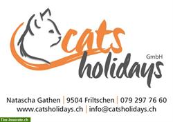 Bild 1: Katzenpension / Katzenferienheim Catsholidays in Friltschen TG