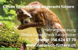 Katzenfutter Test Schweiz | Katzenfutter testen | Futter-Check Katze