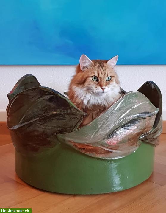 Edle Katzentoilette aus Keramik